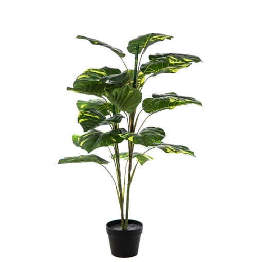 Τεχνητό φυτό – Πόθος Α22165