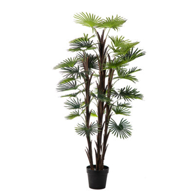 Artificial plant – Fan Palm x 3 Α22168