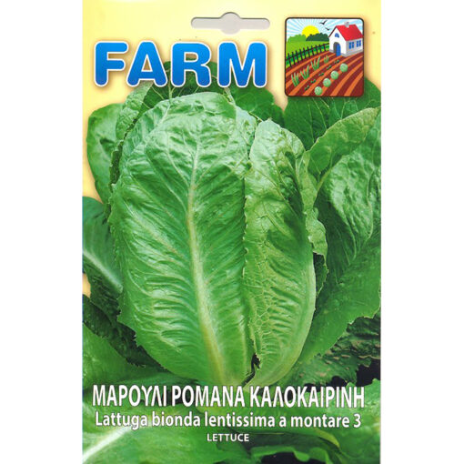 FARM 164 - ΜΑΡΟΥΛΙ ΡΟΜΑΝΑ ΚΑΛΟΚΑΙΡΙΝΗ – Lactuca sativa