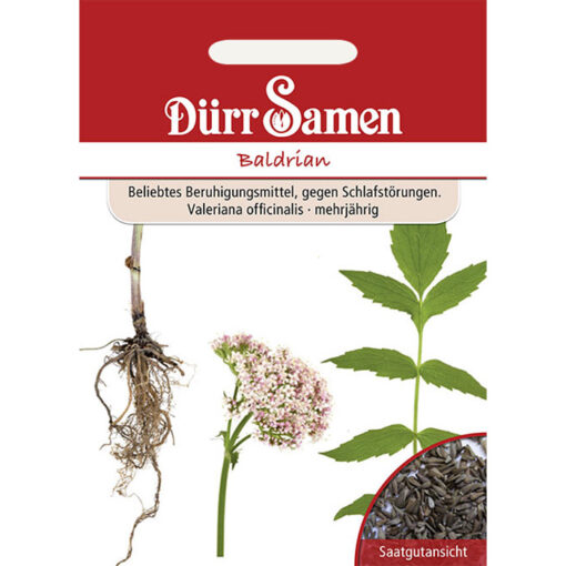 DS0172 – Βαλεριάνα – Valeriana officinalis
