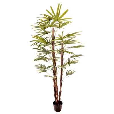 Artificial plant – Raphis Palm x 3 Α24148