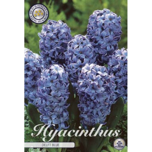 83010 Hyacinthus – Ζουμπούλι Delft Blue