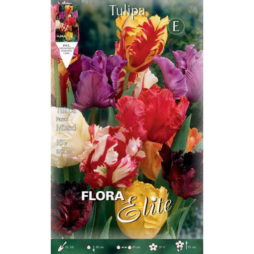 268809 Tulipa Parrot Mixed