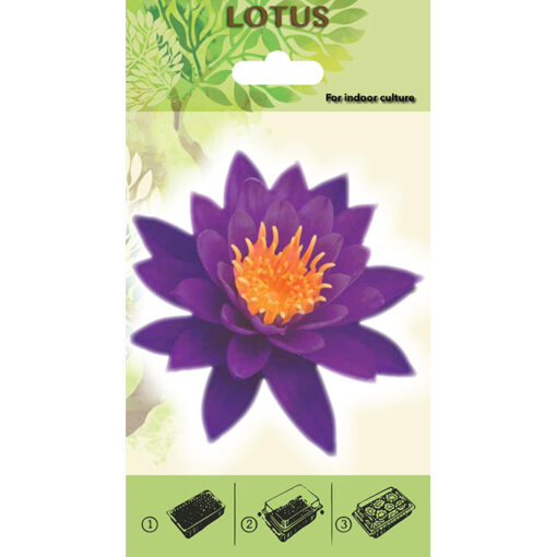 Lotus Starter Kit - 20480 Μπλε