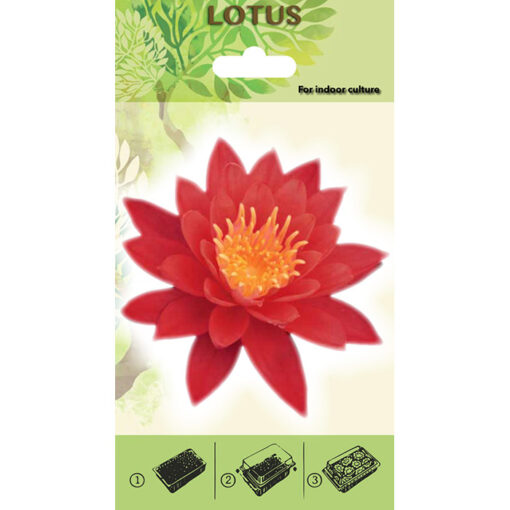 Lotus Starter Kit - 20485 Κόκκινο