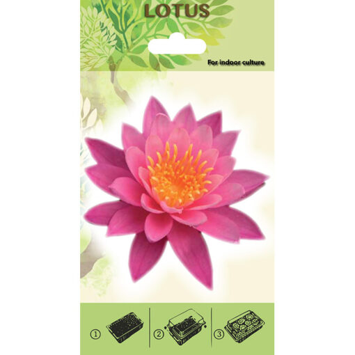 Lotus Starter Kit - 20490 Pink