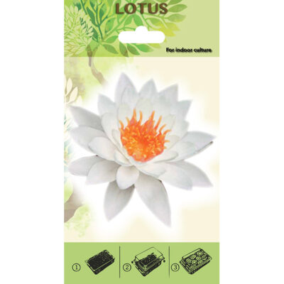 Lotus Starter Kit - 20495 Λευκό