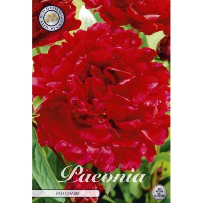 85145 Paeonia – Παιώνια Red Charm