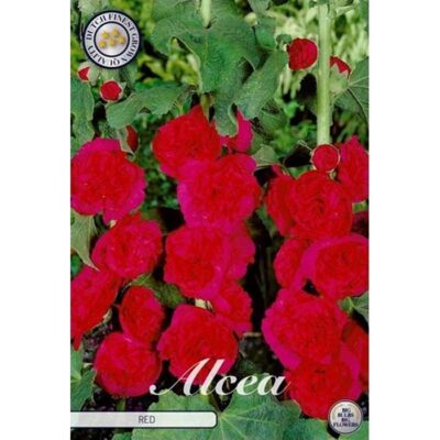 40358 Alcea – Αλθαία Δεντρομολόχα Red