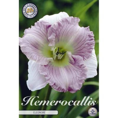 40389 Hemerocallis – Ημεροκαλλίς Eleonore