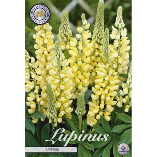 40412 Lupinus – Λούπινο Saffron