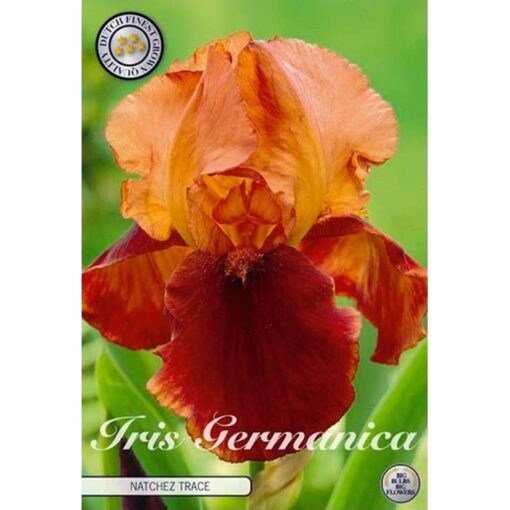 40400 Iris – Ίρις Natchez Trace