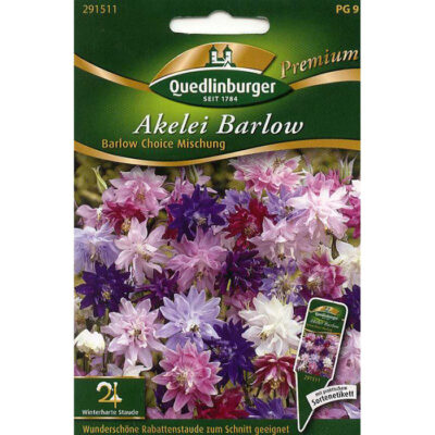 291511 – Aquilegia vulgaris “Barlow Choice”