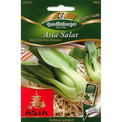 292520 - Πακ Τσόι κινέζικο λάχανο – Brassica campestris narinosa Pak Choi Mini «Misome»