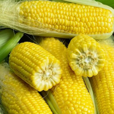 Corn Seeds – DF 98614 True Sweet Gold (Zea mays sacharata)