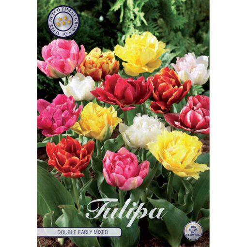 80040 Tulipa Double Early Mixed