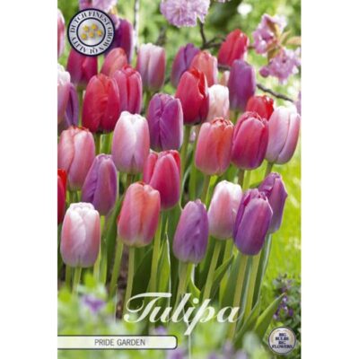 81132 Tulipa – Τουλίπα Pride Garden