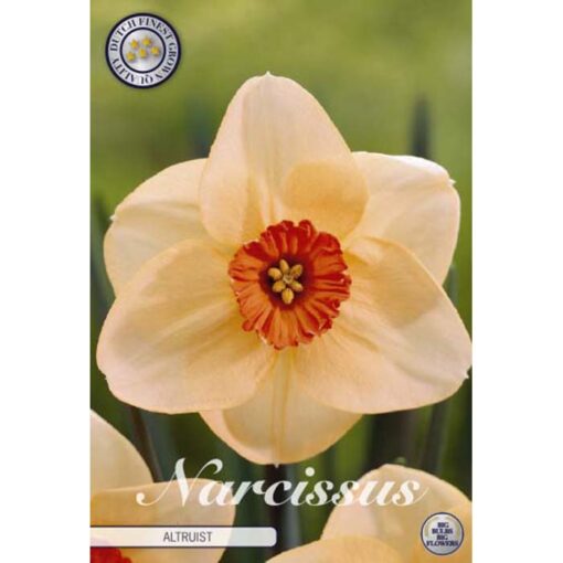 82005 Narcissus – Νάρκισσος Altruist