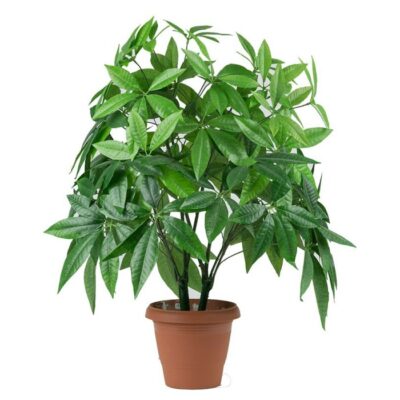 Artificial plant – Pachira Money Tree 312000