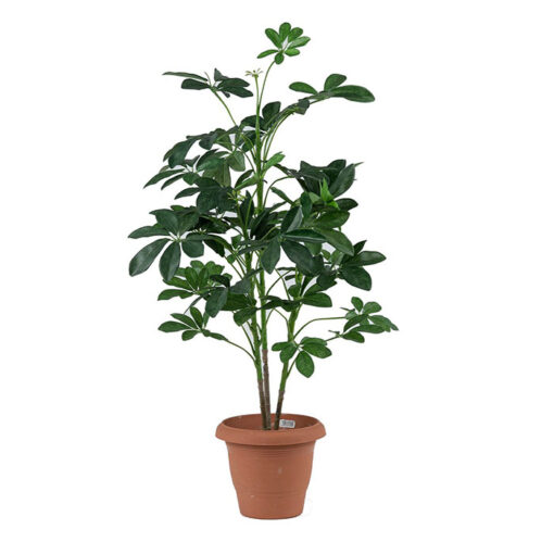 Artificial plant – Schefflera 311000