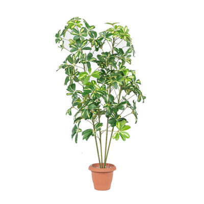Artificial plant – Schefflera 313000