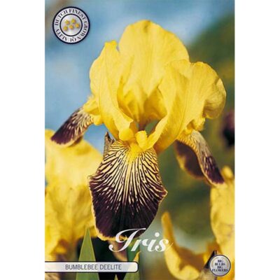 40610 Iris Bumblebee Deelite