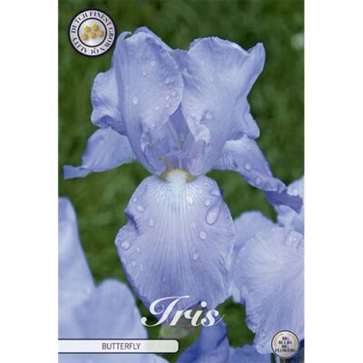 40612 Iris Butterfly