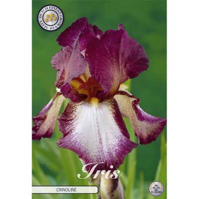 40615 Iris Crinoline
