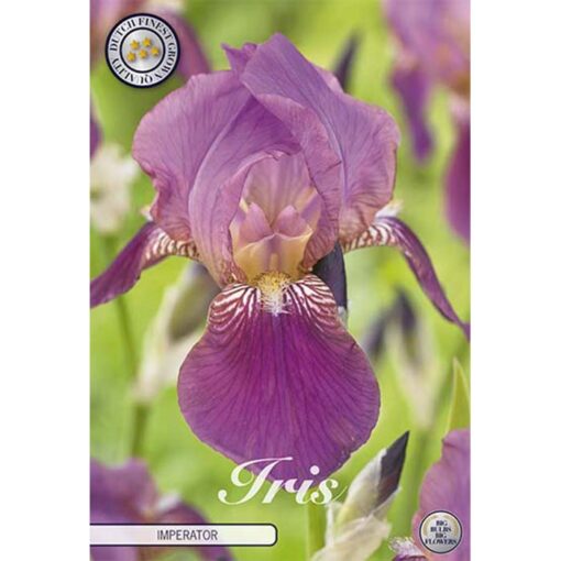 40622 Iris Imperator
