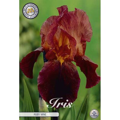 40629 Iris – Ίρις Ruby Mine