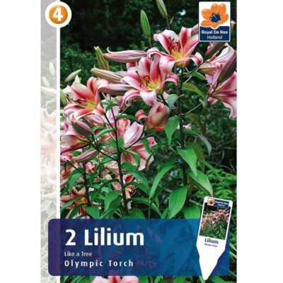 08487 Lilium – Λίλιουμ Olympic Torch