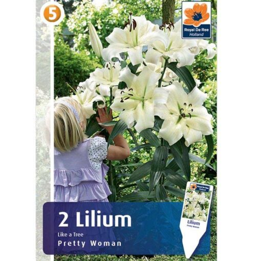 08521 Lilium – Λίλιουμ Pretty Woman