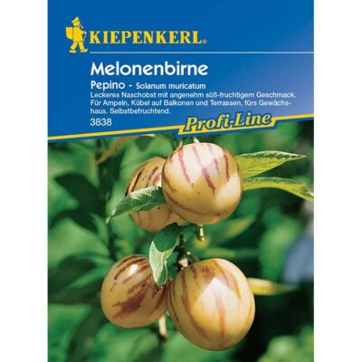 3838 – Πεπίνο – Solanum muricatum