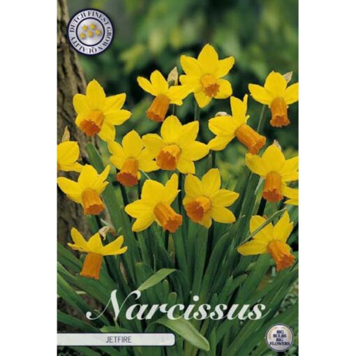 82215 Narcissus – Νάρκισσος Jetfire