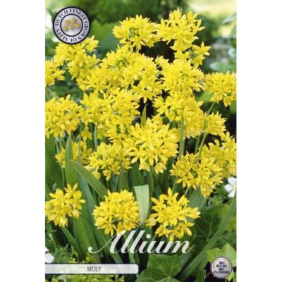 84060 Allium – Αλλιουμ Moly