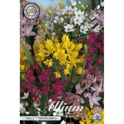 84140 Allium – Αλλιουμ Small Flowering Mixed