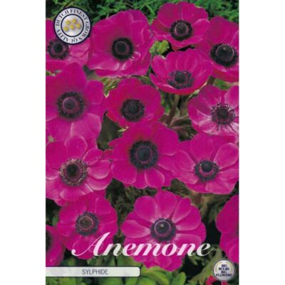 84175 Anemone – Ανεμώνη Sylphide