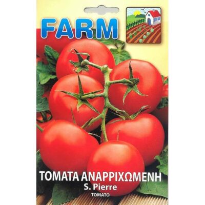 FARM 231 – ΤΟΜΑΤΑ ΑΝΑΡΡΙΧΩΜΕΝΗ – Lycopersicon esculentum