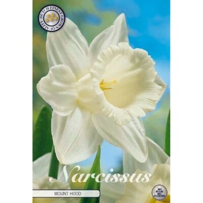 82065 Narcissus Mount. Hood