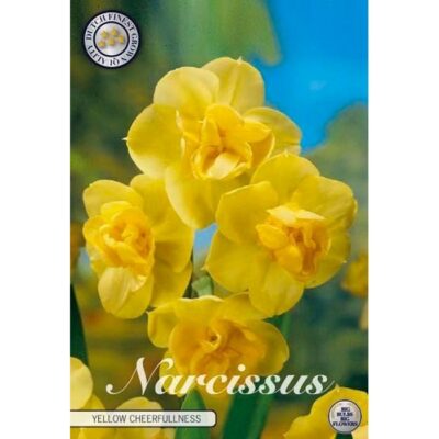 82155 Narcissus Yellow Cheerfulness