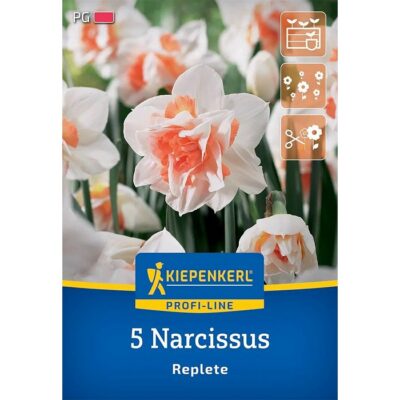 2450010 Narcissus Replete