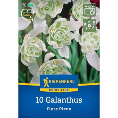 2775017 Galanthus – Γάλανθος Flore Pleno