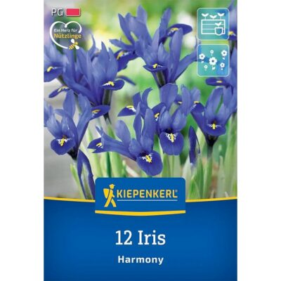 2775020 Iris – Ίρις Harmony