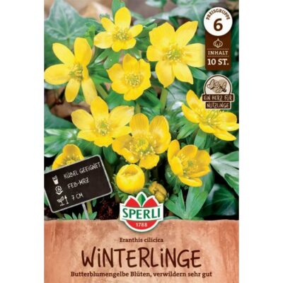 460254 Eranthis – Ερανθές cilicica