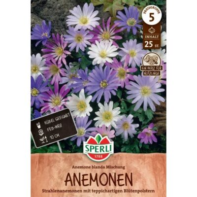 460643 Anemone – Ανεμώνη Blanda Mixed
