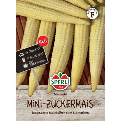 83629 – Zea mays “Minigold”