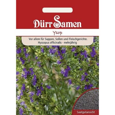 DS0105 – Hyssopus officinalis