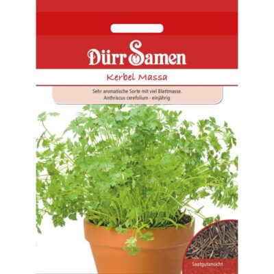 DS4384 – Anthriscus cerefolium