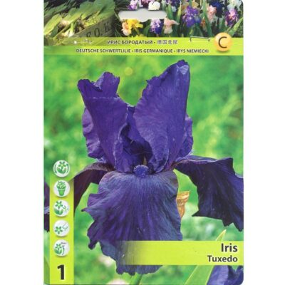 10386 Iris – Ίρις Tuxedo