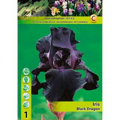 10388 Iris – Ίρις Black Dragon